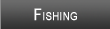Lake Bemidji  Fishing